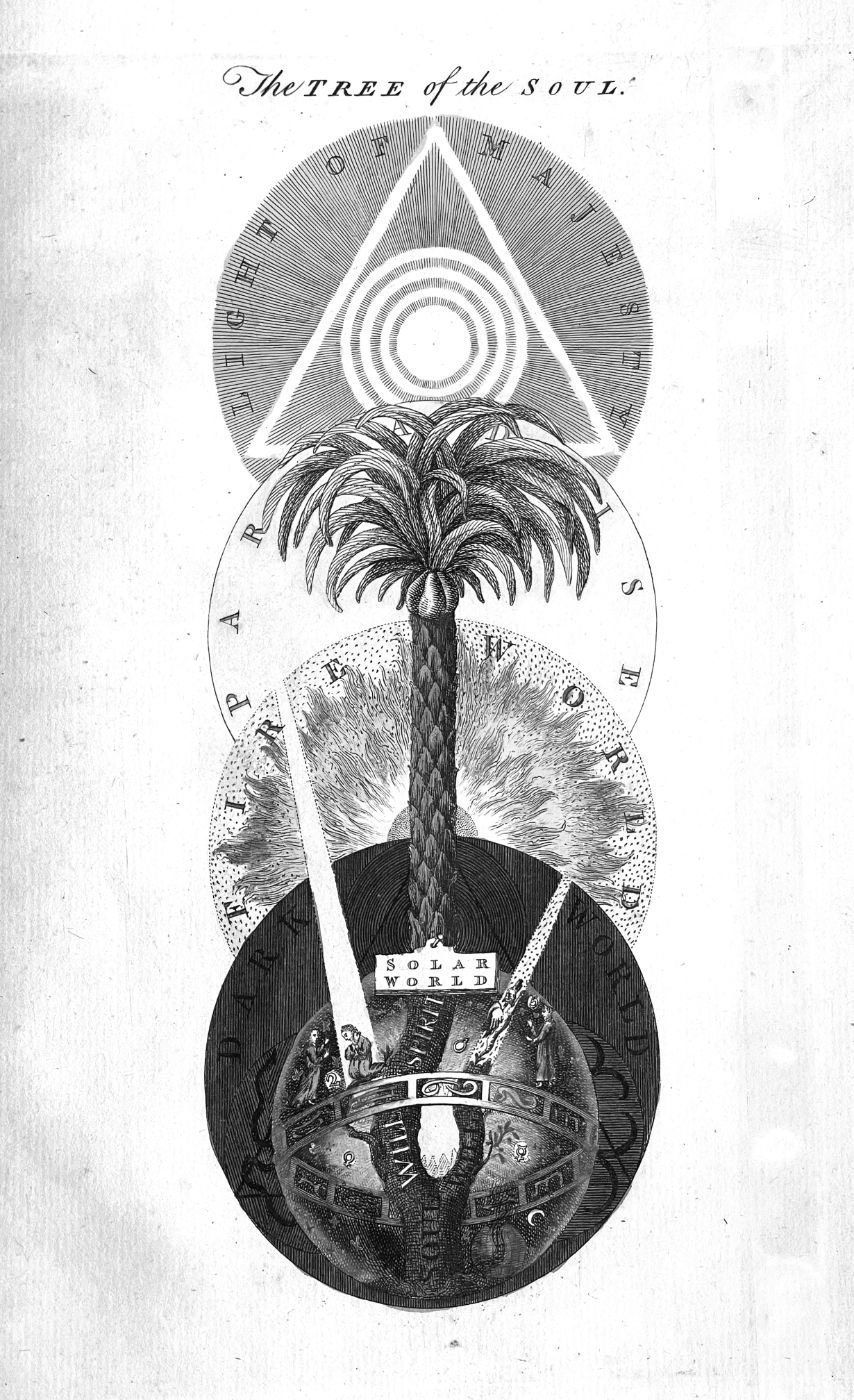 The Tree of the Soul